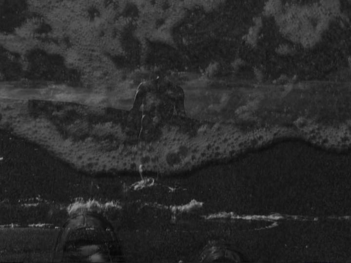 11893918_403286339866566_273485164987645474_o